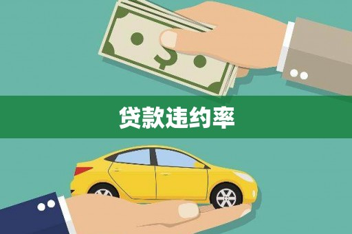 宝塔贷款违约率