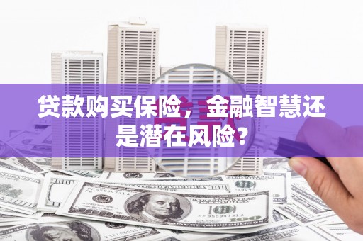 宝塔贷款购买保险，金融智慧还是潜在风险？