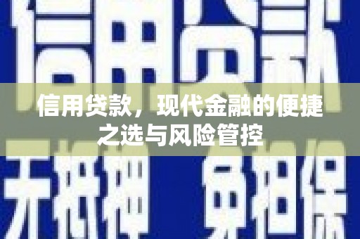 宝塔信用贷款，现代金融的便捷之选与风险管控
