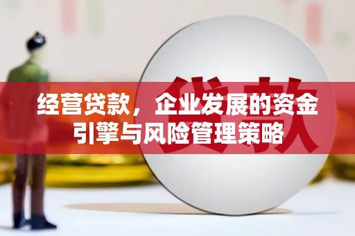 宝塔经营贷款，企业发展的资金引擎与风险管理策略