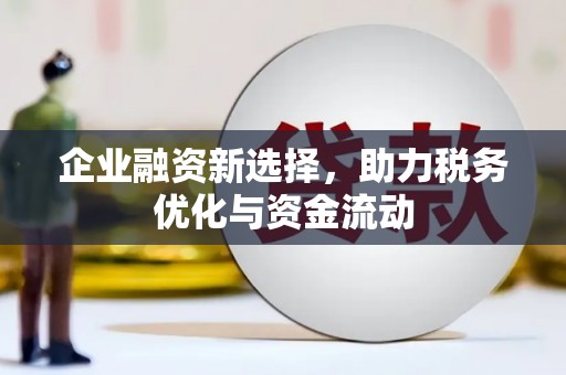 宝塔企业融资新选择，助力税务优化与资金流动