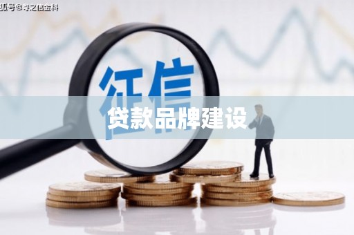 宝塔贷款品牌建设
