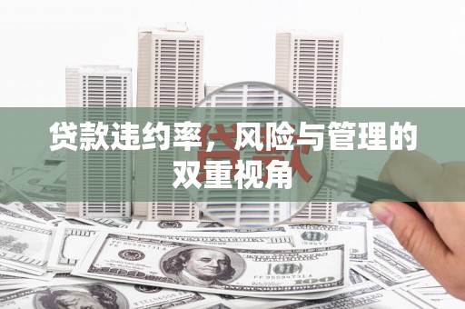 宝塔贷款违约率，风险与管理的双重视角