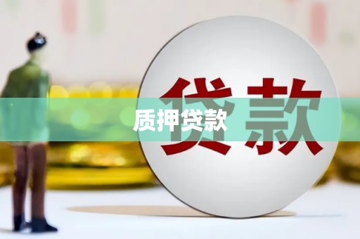 宝塔质押贷款