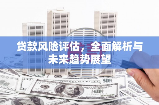 宝塔贷款风险评估，全面解析与未来趋势展望