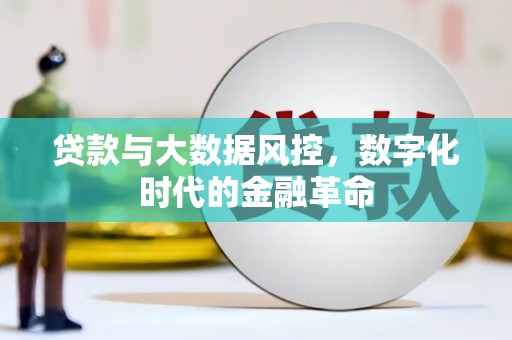 宝塔贷款与大数据风控，数字化时代的金融革命