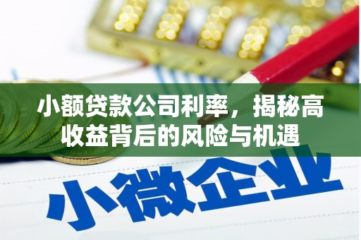 宝塔小额贷款公司利率，揭秘高收益背后的风险与机遇