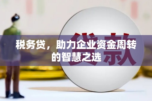 宝塔税务贷，助力企业资金周转的智慧之选