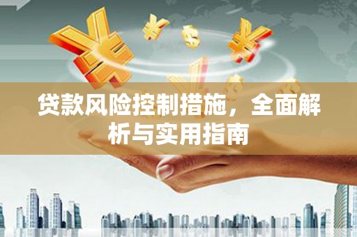 宝塔贷款风险控制措施，全面解析与实用指南