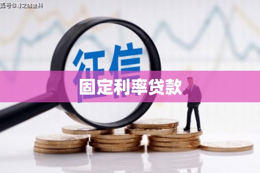 宝塔固定利率贷款