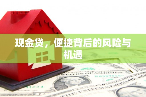 宝塔现金贷，便捷背后的风险与机遇