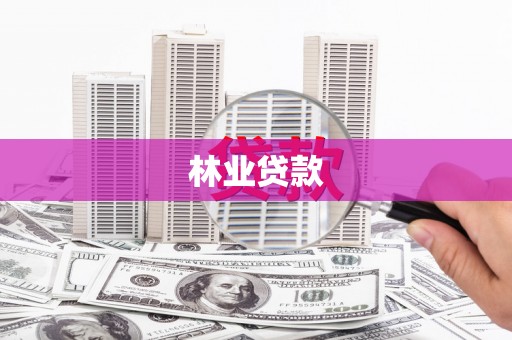 宝塔林业贷款