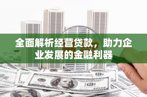 宝塔全面解析经营贷款，助力企业发展的金融利器