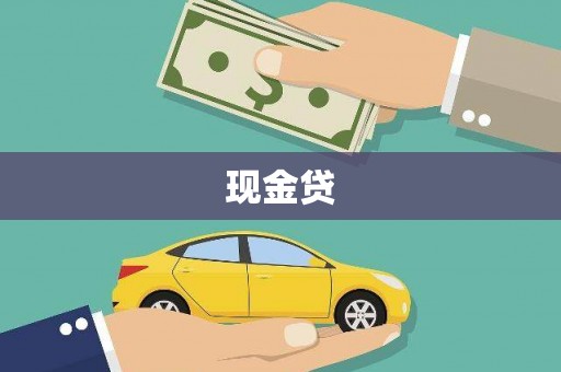 宝塔现金贷