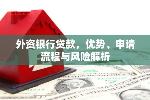 宝塔外资银行贷款，优势、申请流程与风险解析