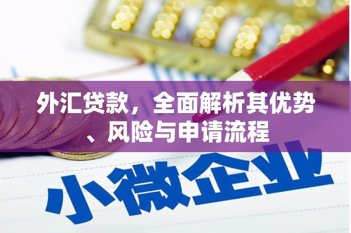 宝塔外汇贷款，全面解析其优势、风险与申请流程