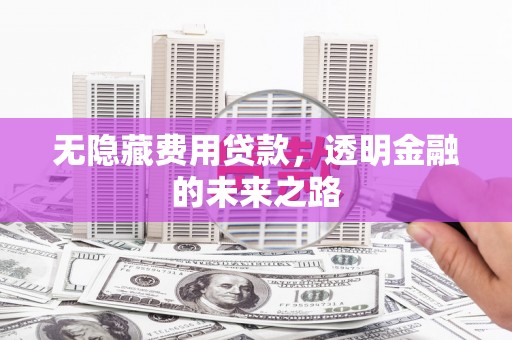 宝塔无隐藏费用贷款，透明金融的未来之路