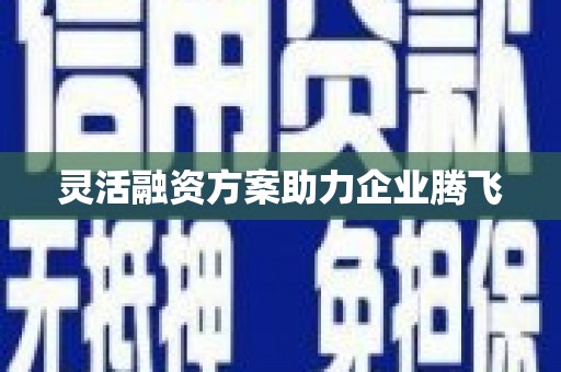 宝塔灵活融资方案助力企业腾飞