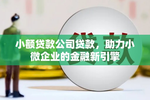 宝塔小额贷款公司贷款，助力小微企业的金融新引擎