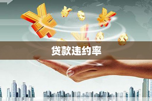 宝塔贷款违约率