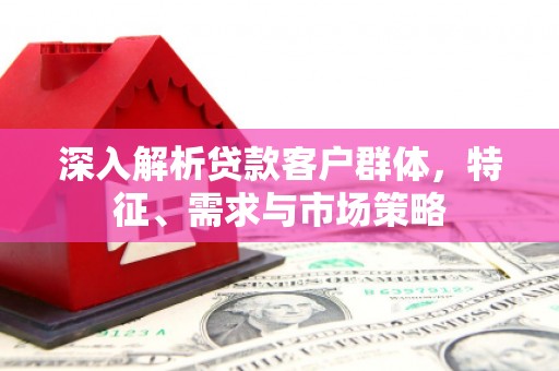 宝塔深入解析贷款客户群体，特征、需求与市场策略