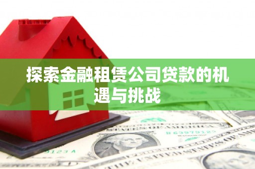 宝塔探索金融租赁公司贷款的机遇与挑战