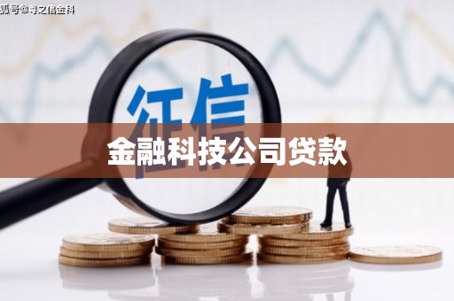 宝塔金融科技公司贷款
