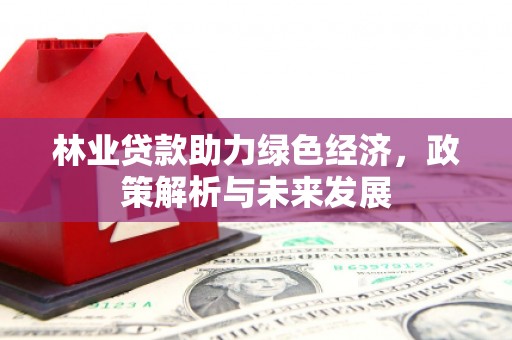 宝塔林业贷款助力绿色经济，政策解析与未来发展