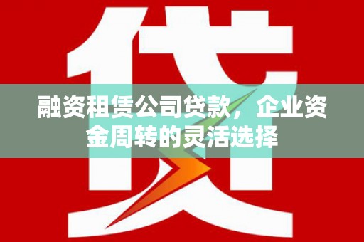 宝塔融资租赁公司贷款，企业资金周转的灵活选择