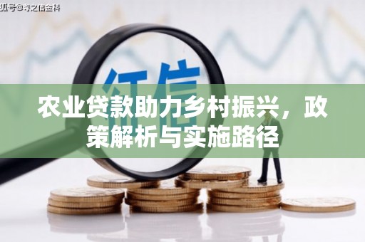 宝塔农业贷款助力乡村振兴，政策解析与实施路径