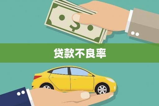 宝塔贷款不良率