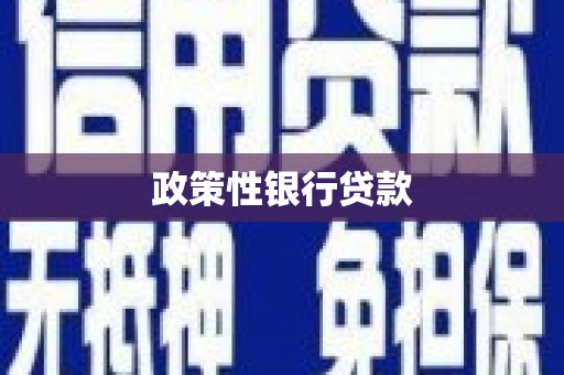 宝塔政策性银行贷款