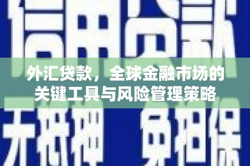 宝塔外汇贷款，全球金融市场的关键工具与风险管理策略