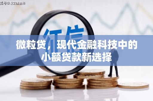 宝塔微粒贷，现代金融科技中的小额贷款新选择