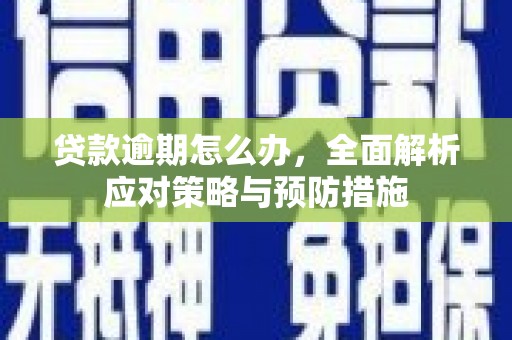 宝塔贷款逾期怎么办，全面解析应对策略与预防措施