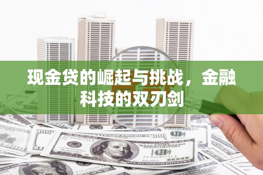 宝塔现金贷的崛起与挑战，金融科技的双刃剑