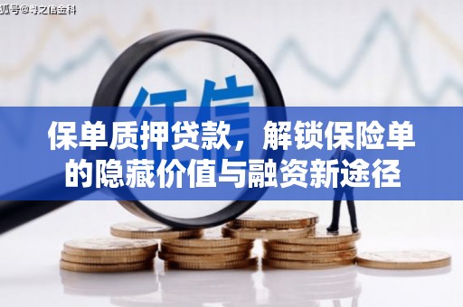 宝塔保单质押贷款，解锁保险单的隐藏价值与融资新途径