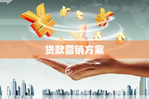 宝塔贷款营销方案