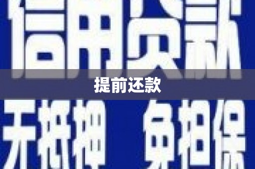 宝塔提前还款