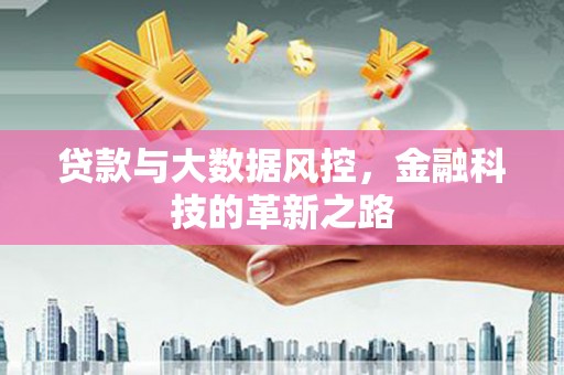 宝塔贷款与大数据风控，金融科技的革新之路