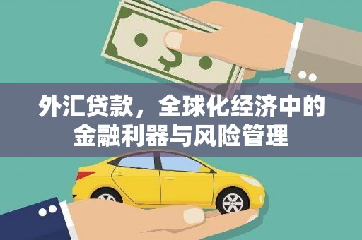 宝塔外汇贷款，全球化经济中的金融利器与风险管理