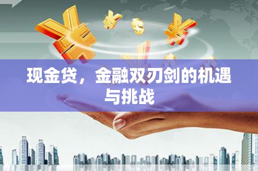 宝塔现金贷，金融双刃剑的机遇与挑战