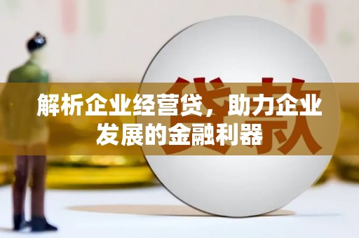 宝塔解析企业经营贷，助力企业发展的金融利器