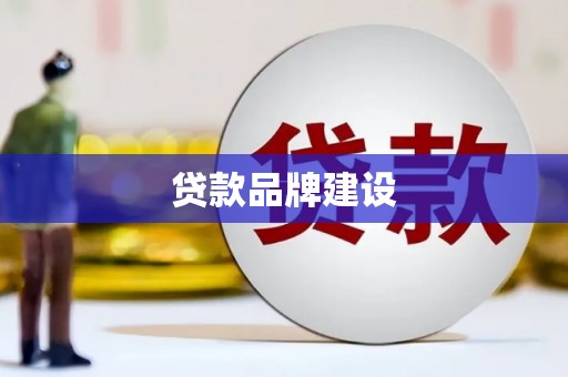宝塔贷款品牌建设