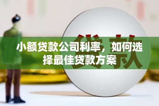 宝塔小额贷款公司利率，如何选择最佳贷款方案