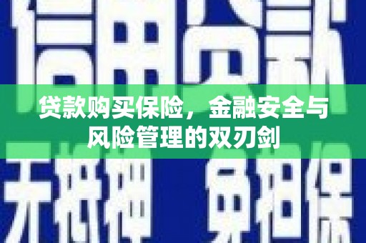 宝塔贷款购买保险，金融安全与风险管理的双刃剑