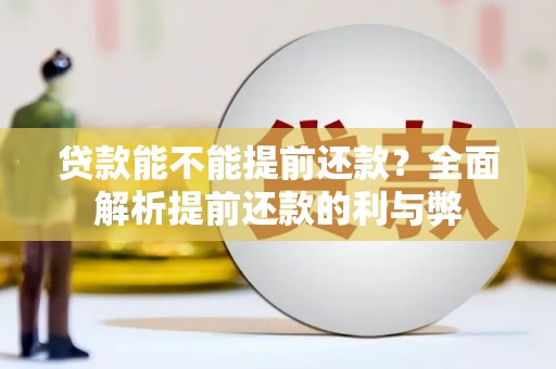 宝塔贷款能不能提前还款？全面解析提前还款的利与弊