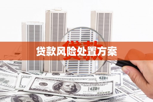 宝塔贷款风险处置方案