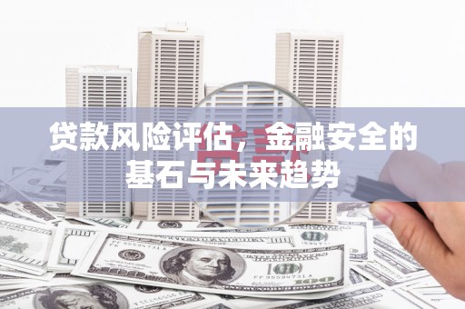 宝塔贷款风险评估，金融安全的基石与未来趋势