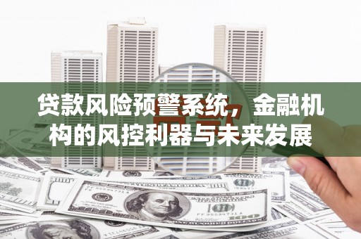 宝塔贷款风险预警系统，金融机构的风控利器与未来发展